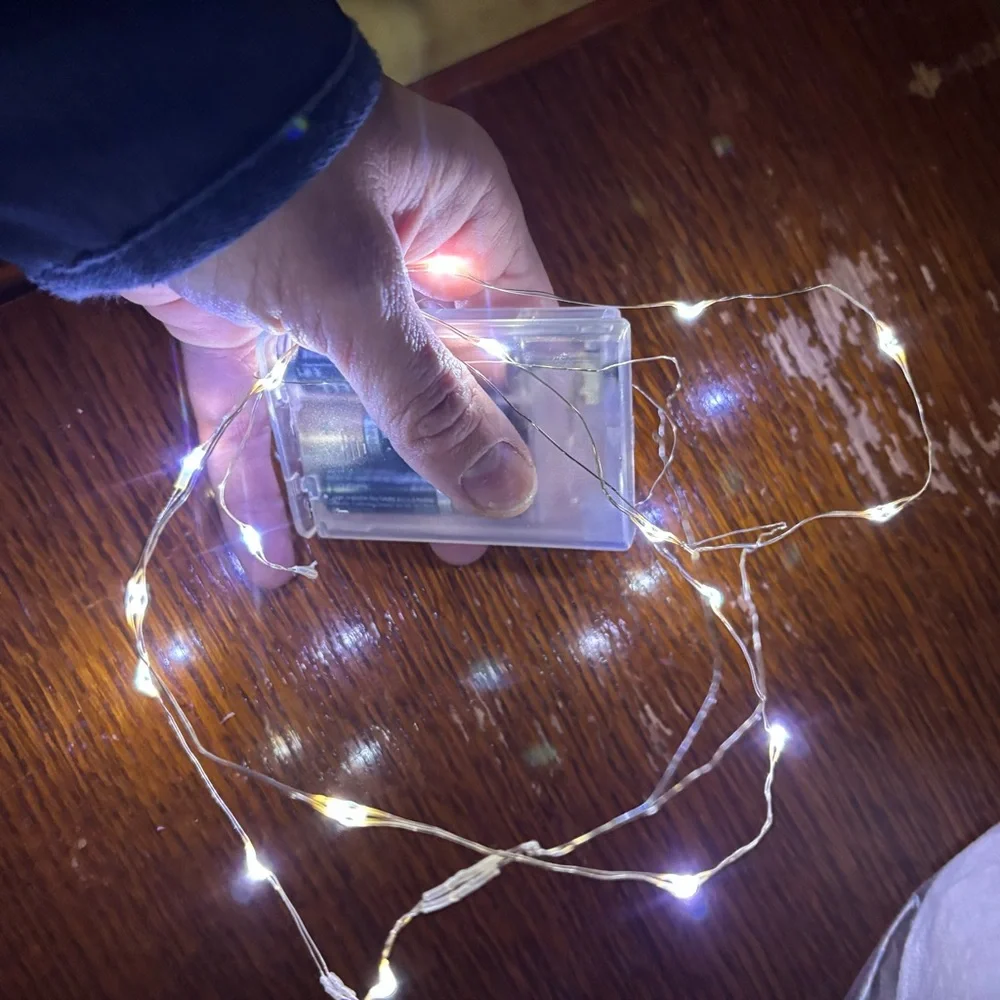 ~BUNDLE ONLY~4’ Wired Battery Operated String Lights